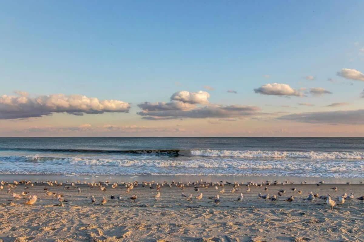 *Oceanfront Sun & Fun*Queen Beds*Pools*Hot Tubs*More*B118 Myrtle Beach Dış mekan fotoğraf